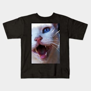 Cat's Meow Kids T-Shirt